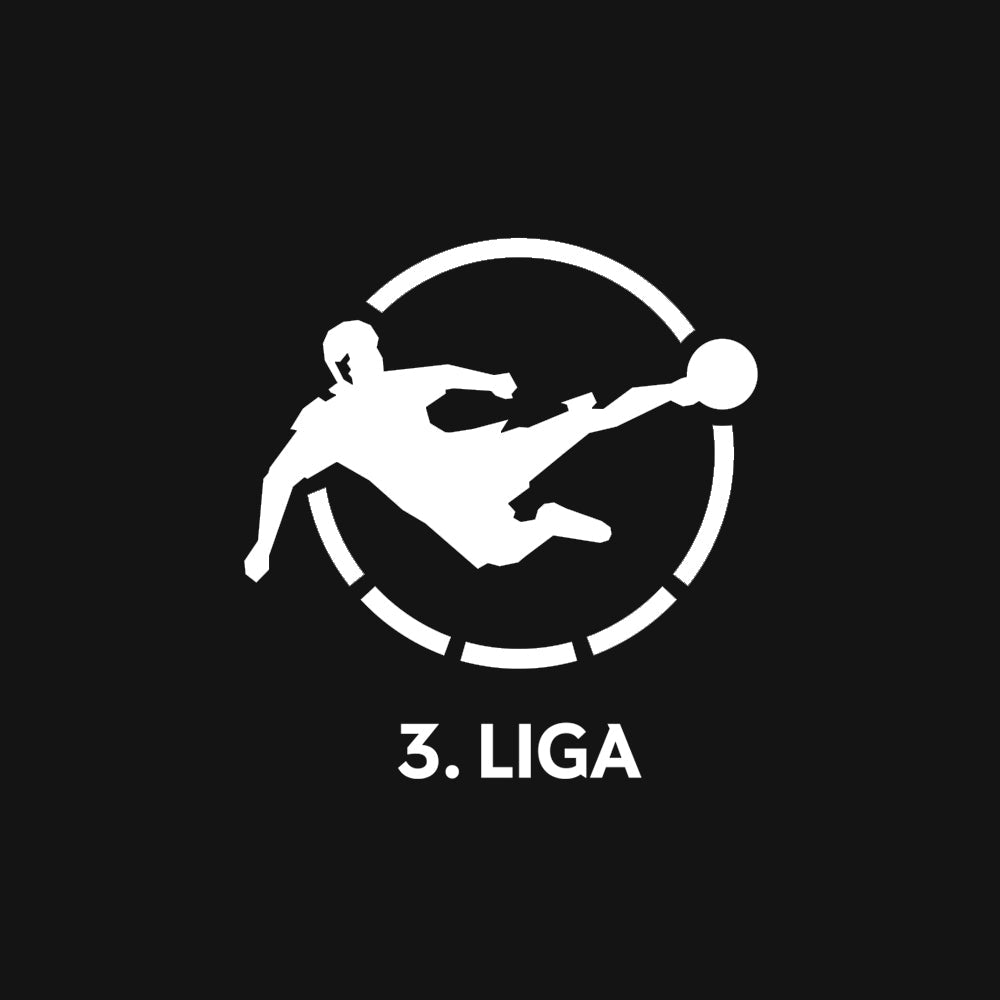 3. Liga